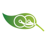 Consulting Services